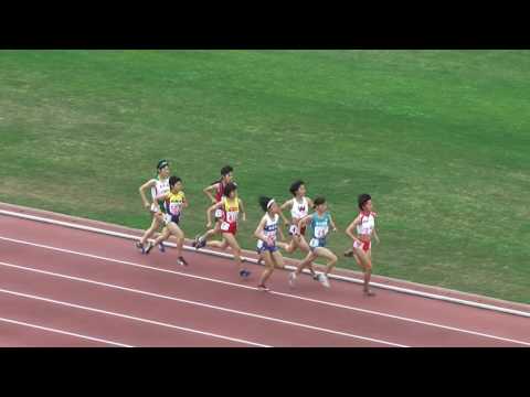 H29　南関東　女子800m　予選3組