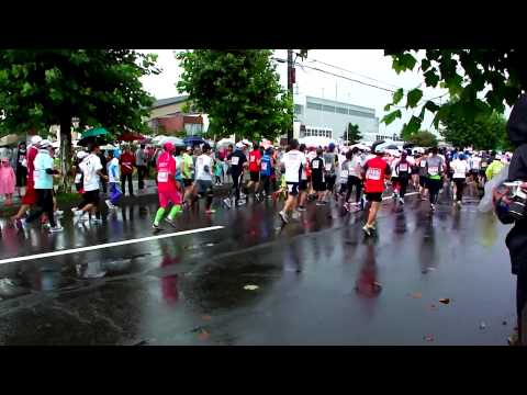 たきかわコスモスマラソン2013