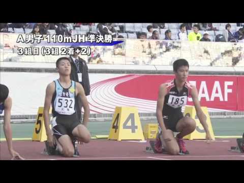 A男子110mJH 準決勝第3組 第46回ジュニアオリンピック