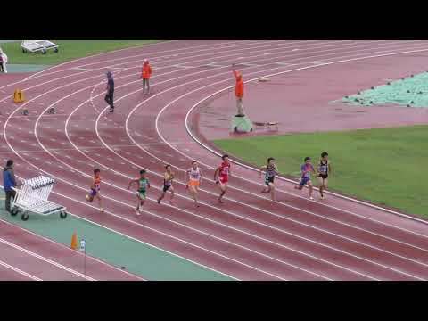H30　千葉県高校新人　男子100m　準決勝2組