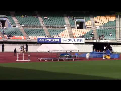2015 静岡国際陸上 男子400mH タイムレース2