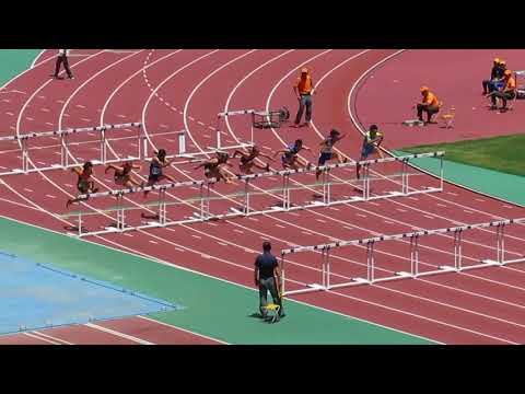 18年6月4日熊本県高校総体 男子110mH決勝