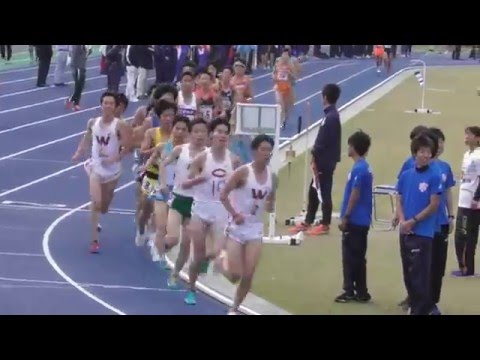 【頑張れ中大】日体大記録会5000ｍ16組（最終組）竹内・OB多田、ｴﾘﾄﾘｱ代表選考会　2016.5.15