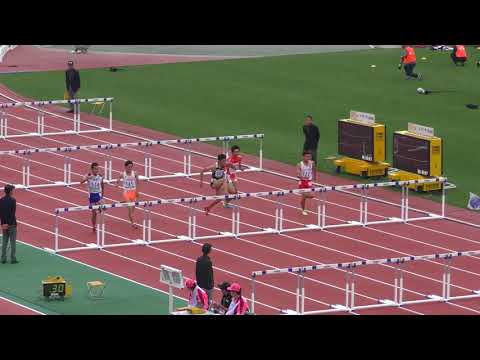 H30　南関東　男子110mH　予選3組