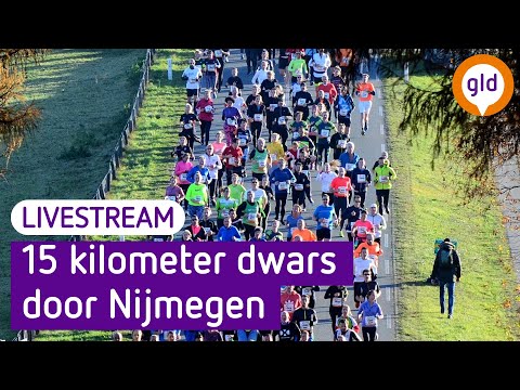 Zevenheuvenloop 2024 | Omroep Gelderland