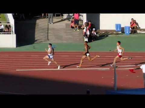 男子4x400mR 予選2組　南関東 R01 相洋・城西