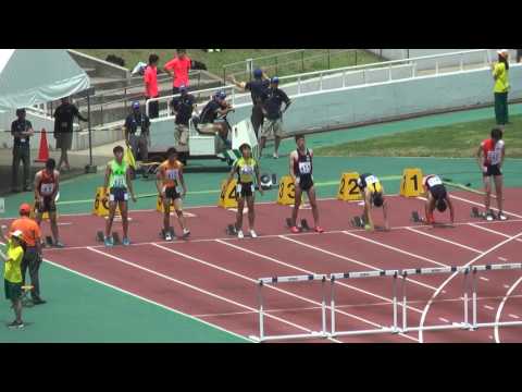 H29　北関東　男子110mH　準決勝1組