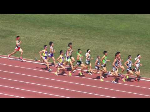 H29　北関東　男子5000m　決勝