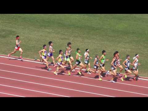 2017 北関東 男子5000m決勝