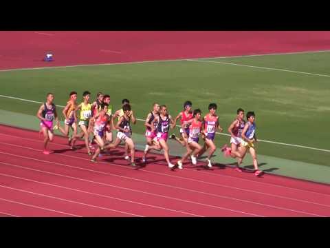 2017京都府IH・男子1500m決勝
