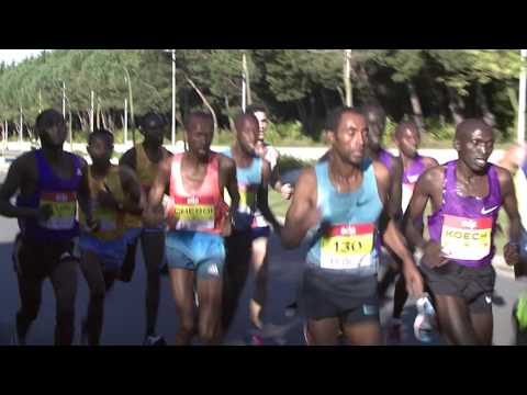 Maratona Porto EDP 2015