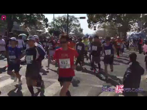 菊池桜マラソン2016 Kikuchi Sakura Marathon