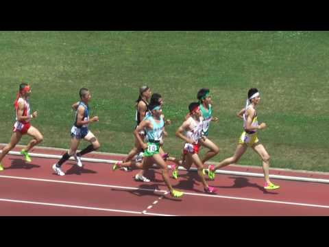 H29　南関東　男子3000mSC　決勝