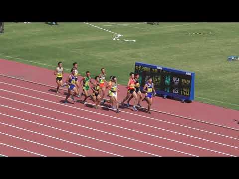 H30　関東選手権　男子3000mSC　決勝