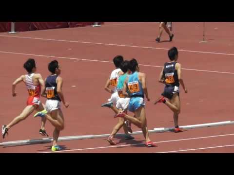 【頑張れ中大】関東ｲﾝｶﾚ男子800ｍ予選1組　田母神一喜　2016.5.21