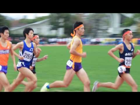 2016年度　第8回京都陸協記録会　男子5000m9組