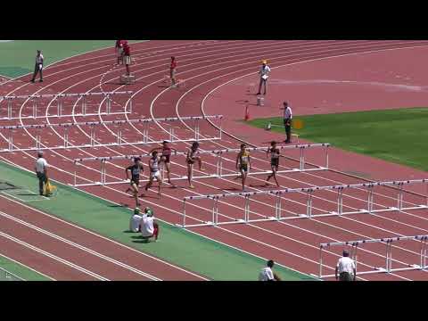 H30　関東選手権　男子110mH　予選4組