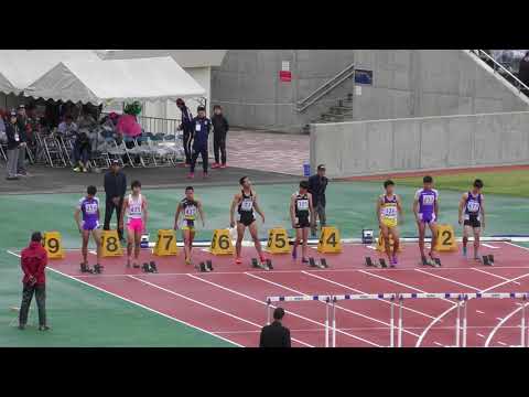 H30　南関東　男子八種競技110mH　2組