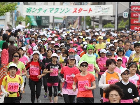 新緑の中6300人疾走　2015堺シティマラソン