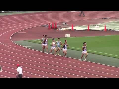 2016 六大学対校陸上 男子800m決勝3