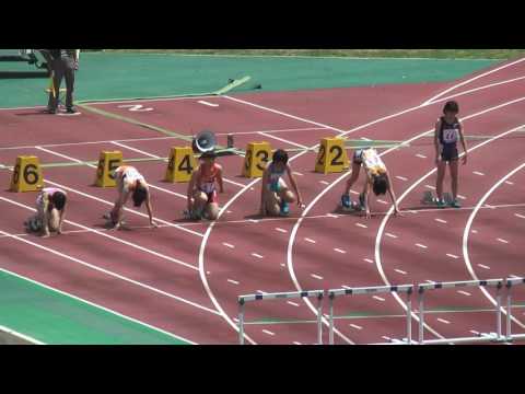 H29　北関東　女子100mH　予選2組