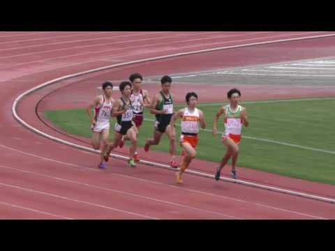 20160703群馬県選手権男子800m予選4組