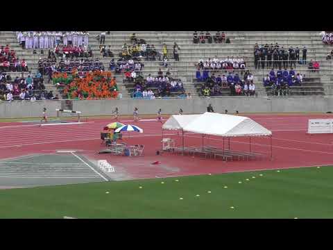 H30　南関東　女子200m　予選2組