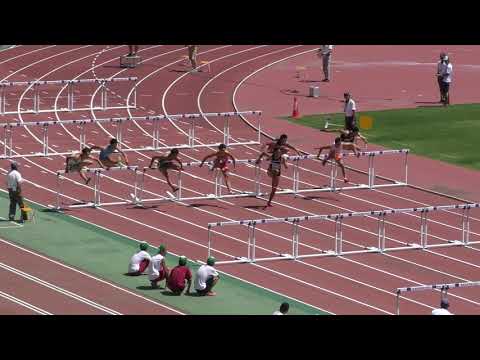 H30　関東選手権　男子110mH　予選5組