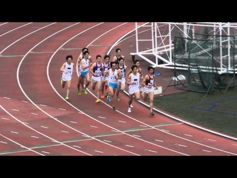 第49回東京六大学陸上 800m 決勝