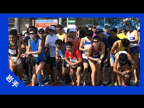 2017年 #29 あまちゃんマラソン | 海と日本PROJECT in 岩手
