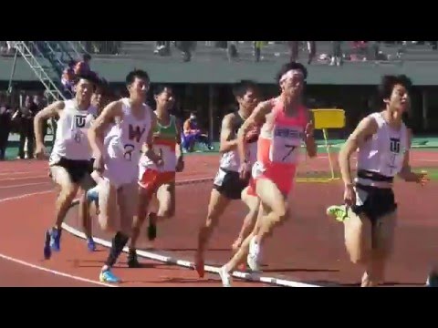 【頑張れ中大】平国大記録会800ｍ最終組　田母神一喜大学ﾃﾞﾋﾞｭｰ戦　2016.4.29