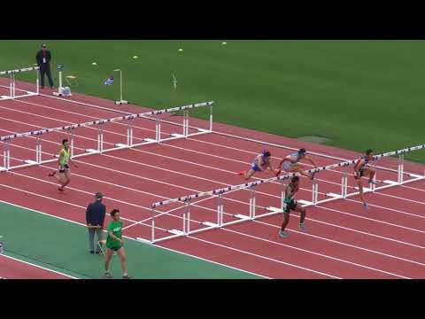 H30　南関東　男子110mH　予選1組