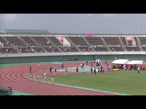 東日本実業団2019 5 19 女子800m決勝