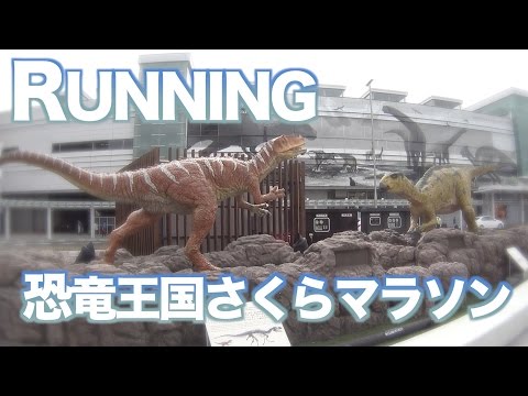 【2016年】恐竜王国さくらマラソン（ハーフの部）【福井県福井市】【HDR-AS200V】