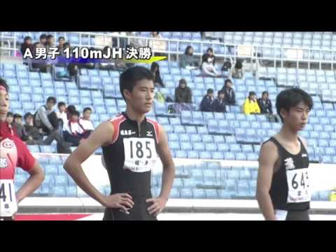 A男子110mJH 決勝 第46回ジュニアオリンピック