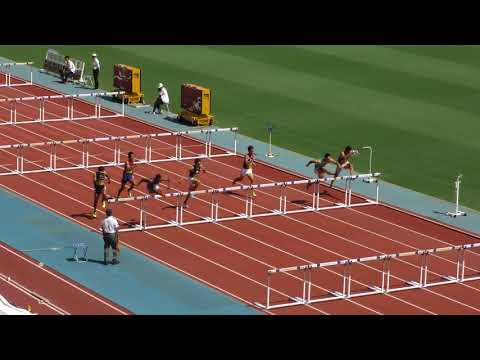 H30　日本インカレ　男子110mH　予選4組