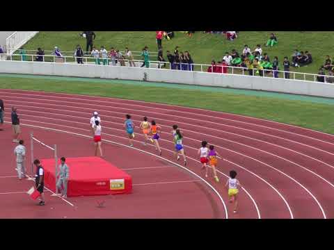 H30　千葉県高校総体　女子800m　準決勝2組