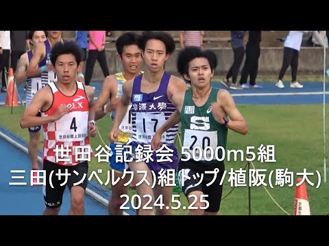 世田谷記録会 5000m5組 駒澤大勢/三田(サンベルクス)組トップ 2024.5.25
