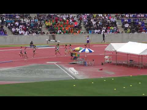 H30　北関東　女子800m　決勝