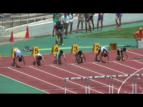 H29　千葉県選手権　男子110ｍH　予選2組