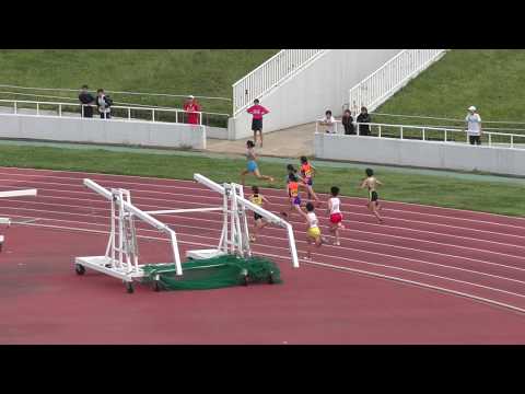H29　千葉県高校新人　女子800m　決勝