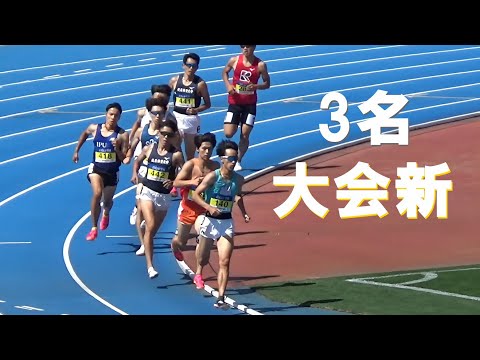 決勝 男子800m 日本学生個人陸上2024