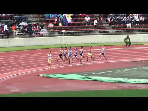2015 南関東高校総体陸上 男子800m決勝