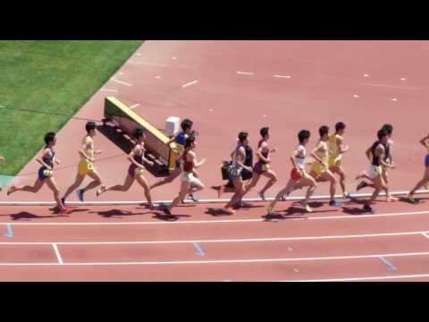 2017年度兵庫リレーカーニバル 一般男子5000m決勝