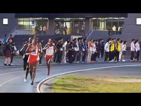 日本体育大学長距離競技会(日体大記録会)20150426　男子5000m第29組(最終組)