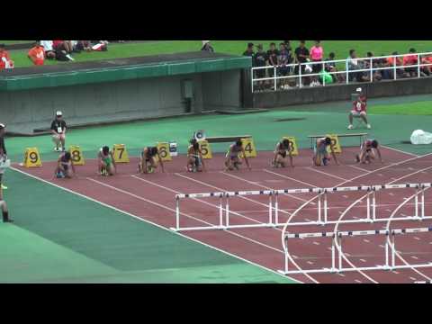 H29　関東中学校陸上競技大会　男子110mH　予選2組