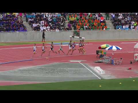 H30　南関東　男子800m　決勝