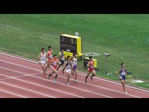 H29　北関東　男子800m　予選2組