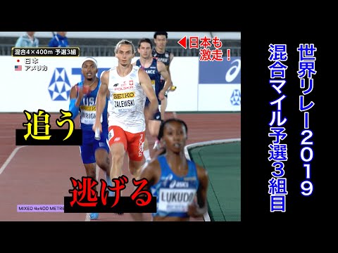 【混合ならでは】逃げるイタリア vs 追うポーランド＆アメリカ【2019世界リレー横浜／混合4×400ｍ 予選3組／日本新も誕生！】