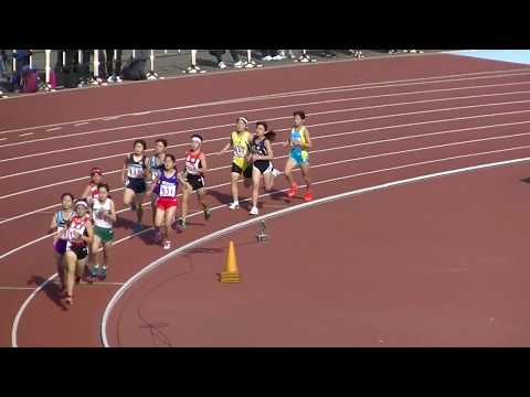 20181111鞘ヶ谷記録会 中2中3女子800m決勝